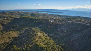 Αγροτεμάχια 31.000 τ.μ. για πώληση