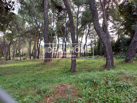 Land plot 1.570 sqm for sale