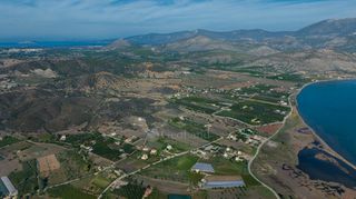 Αγροτεμάχια 4.052 τ.μ. πρός πώληση, Αργολίδα, Ερμιόνη-thumb-22