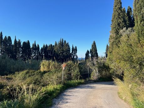 Αγροτεμάχια 4.460 τ.μ. για πώληση