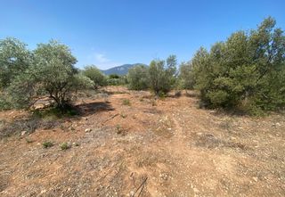 Αγροτεμάχια 1.000 τ.μ. πρός πώληση, Εύβοια, Ανθηδώνος-thumb-1