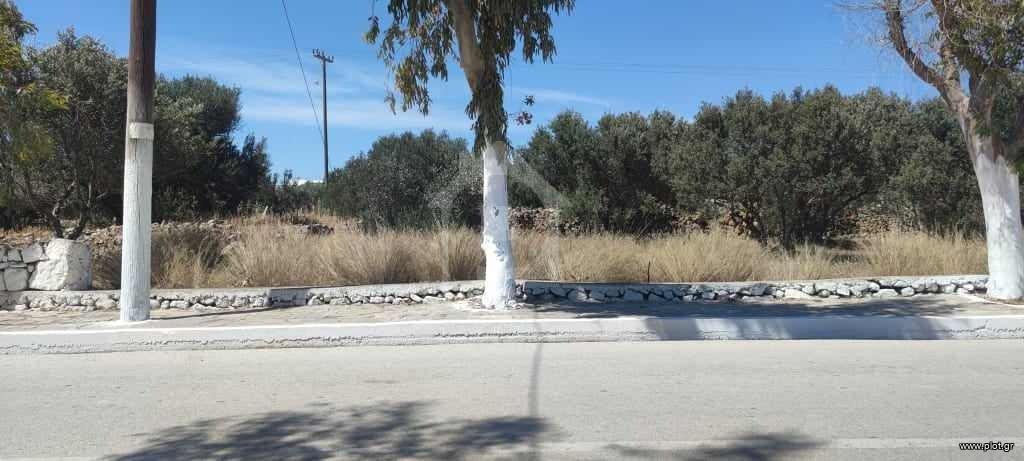 Οικόπεδο 813 τ.μ. προς πώληση, Ζεφυρία