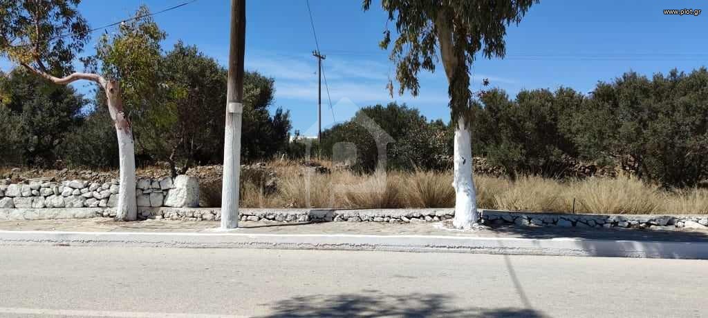 Οικόπεδο 813 τ.μ. προς πώληση, Ζεφυρία