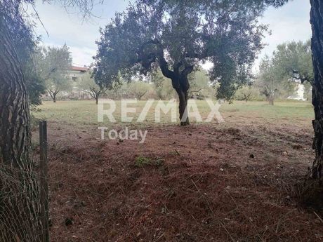 Parcel 4.010sqm for sale-Sithonia » Nikiti