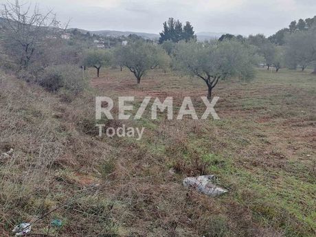 Parcel 4.214sqm for sale-Sithonia » Nikiti