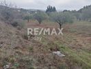 Parcel 4.214sqm for sale-Sithonia » Nikiti