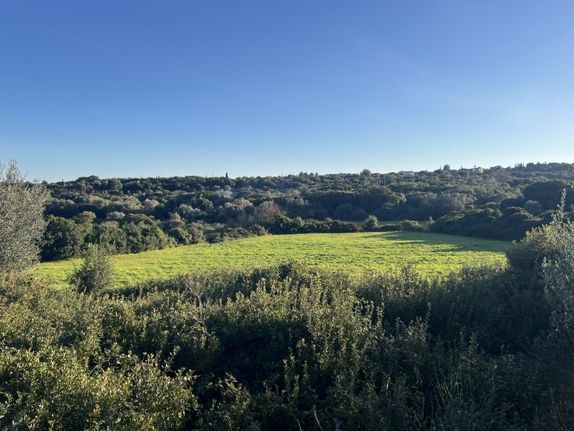 Αγροτεμάχια 4.041 τ.μ. για πώληση, Ν. Κεφαλονιάς, Κεφαλονιά