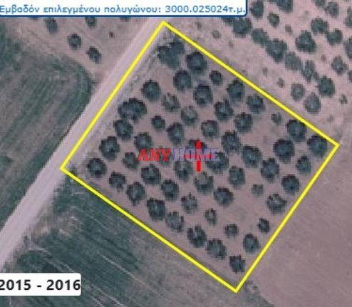 Αγροτεμάχια 2.890 τ.μ. για πώληση, Χαλκιδική, Μουδανιά