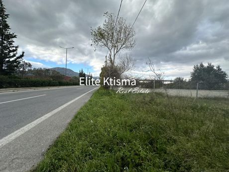 Αγροτεμάχια 4.000τ.μ. για ενοικίαση-Κερατέα » Κέντρο