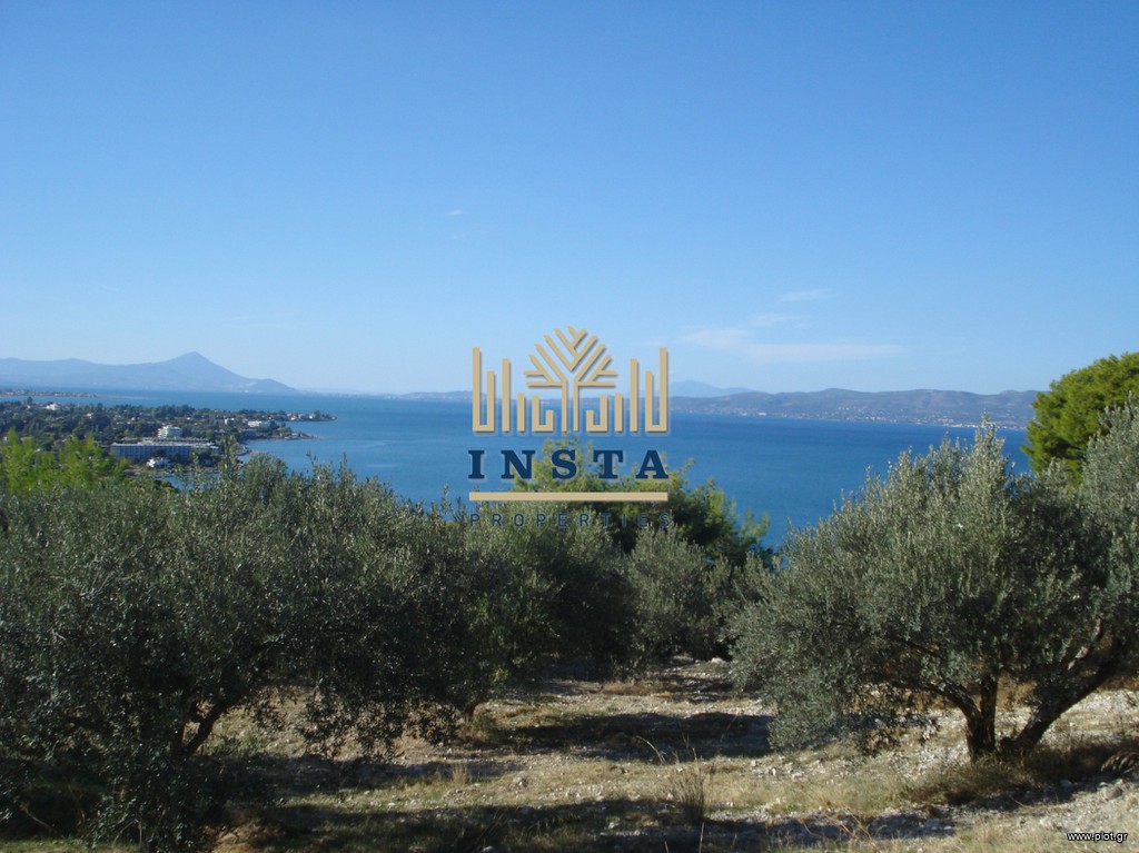 Αγροτεμάχια 30.500 τ.μ. πρός πώληση, Αττική - Υπόλοιπο, Κάλαμος