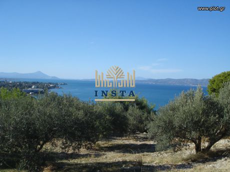 Parcel 30.500sqm for sale-Kalamos » Meteora