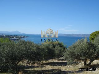 Αγροτεμάχια 30.500 τ.μ. για πώληση