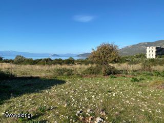 Οικόπεδο 5.252 τ.μ. για πώληση, Αργολίδα, Κρανίδι-thumb-1