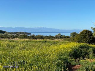 Οικόπεδο 5.252 τ.μ. για πώληση, Αργολίδα, Κρανίδι-thumb-8