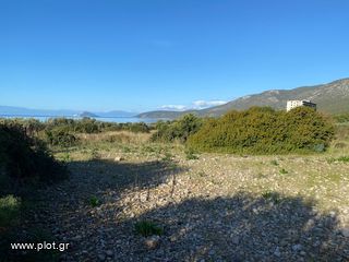 Οικόπεδο 5.252 τ.μ. για πώληση, Αργολίδα, Κρανίδι-thumb-39