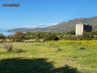 Οικόπεδο 5.252 τ.μ. για πώληση, Αργολίδα, Κρανίδι-thumb-42