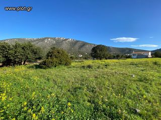 Οικόπεδο 5.252 τ.μ. για πώληση, Αργολίδα, Κρανίδι-thumb-16