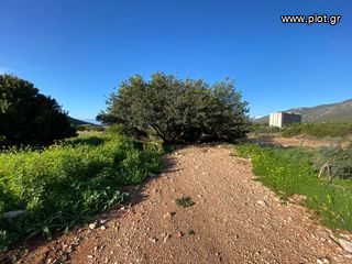 Οικόπεδο 5.252 τ.μ. για πώληση, Αργολίδα, Κρανίδι-thumb-29
