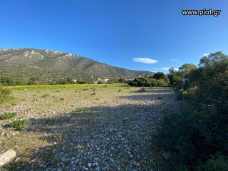 Οικόπεδο 5.252 τ.μ. για πώληση, Αργολίδα, Κρανίδι-thumb-36