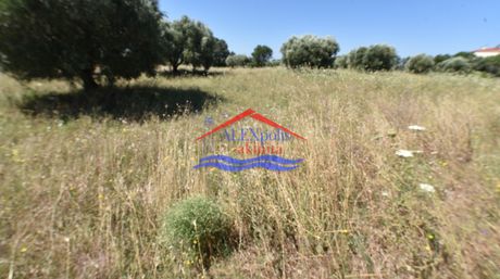 Parcel 4.500sqm for sale-Traianoupoli » Antheia