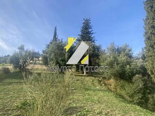 Οικόπεδο 300 τ.μ. για πώληση, Αχαΐα, Ρίο-thumb-20