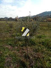 Οικόπεδο 300 τ.μ. για πώληση, Αχαΐα, Ρίο-thumb-19