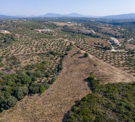 Οικόπεδο 12.400 τ.μ. για πώληση, Μεσσηνία, Μεθώνη-thumb-13