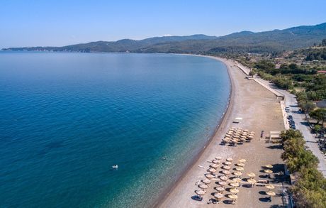 Μονοκατοικία 135τ.μ. για πώληση-Αρτεμίσιο » Ψαροπούλι