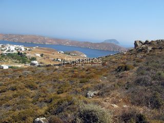 Αγροτεμάχια 4.095 τ.μ. για πώληση