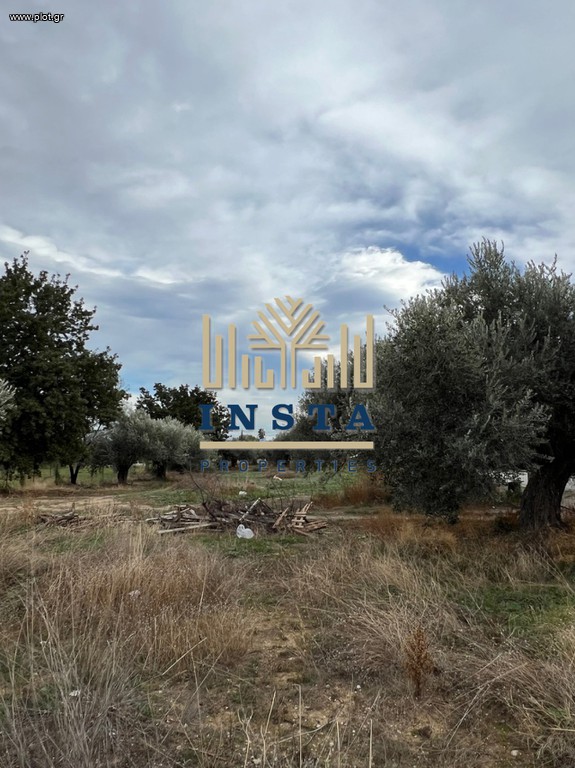 Οικόπεδο 2.010 τ.μ. πρός πώληση, Αττική - Υπόλοιπο, Κάλαμος