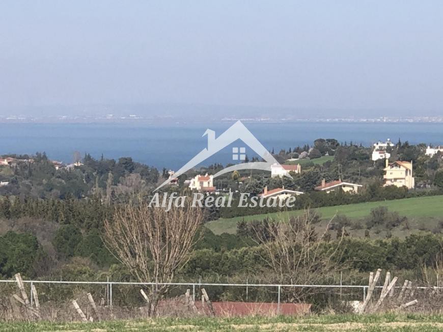 Αγροτεμάχια 6.850 τ.μ. πρός πώληση, Θεσσαλονίκη - Περιφ/Κοί Δήμοι, Θερμαϊκός