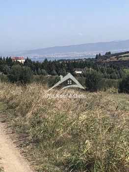 Αγροτεμάχια 6.000τ.μ. για πώληση-Θερμαϊκός » Περαία