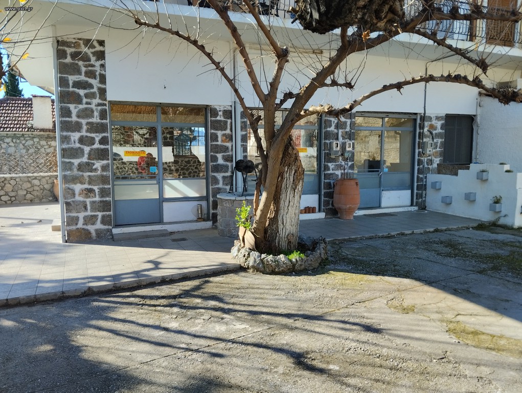 Αίθουσα 98 τ.μ. πρός ενοικίαση, Φθιώτιδας, Αμφίκλεια