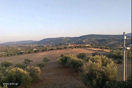 Μονοκατοικία 210τ.μ. για πώληση-Ωρωπός