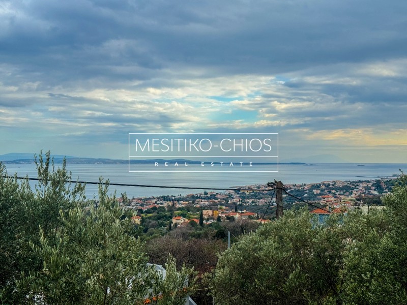 Οικόπεδο 300 τ.μ. προς πώληση, Ομηρούπολη