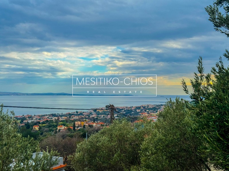 Οικόπεδο 300 τ.μ. προς πώληση, Ομηρούπολη