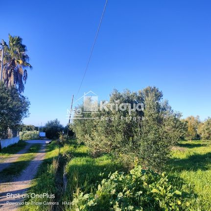 Οικόπεδο 3.000 τ.μ. για πώληση, Ν. Ηλείας, Πύργος