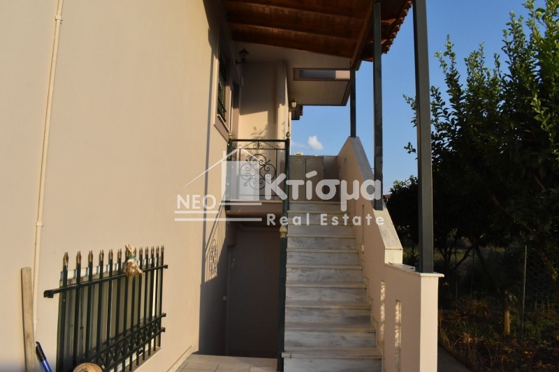 Μονοκατοικία 250 τ.μ. πρός πώληση, Ν. Ηλείας, Πύργος