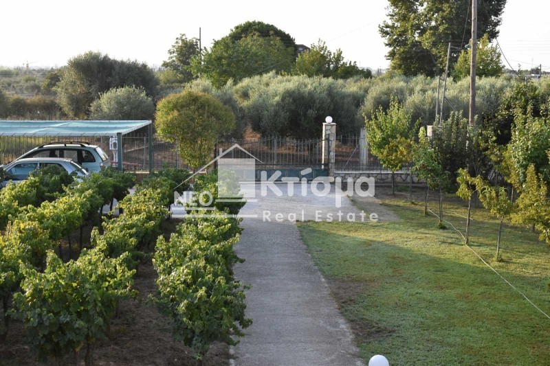 Μονοκατοικία 250 τ.μ. πρός πώληση, Ν. Ηλείας, Πύργος