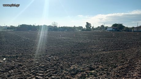 Land plot 250 sqm for sale