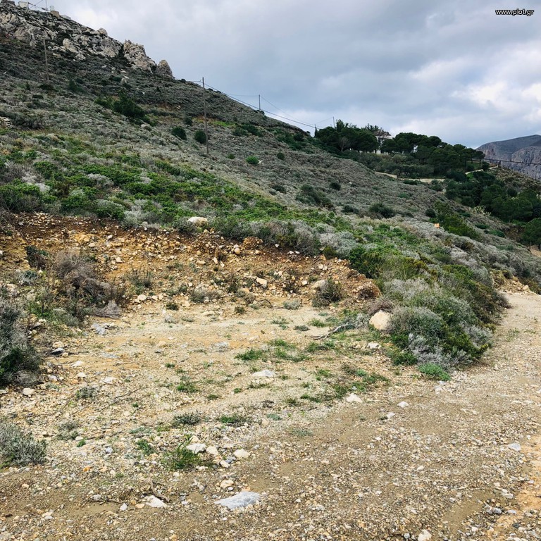 Αγροτεμάχια 4.800 τ.μ. προς πώληση, Πάνορμος Καλύμνου