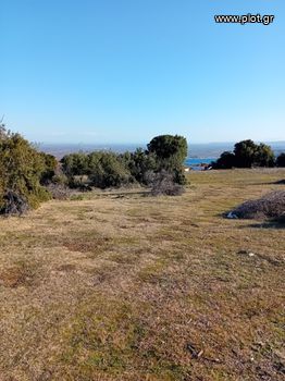 Οικόπεδο 5.000 τ.μ. για πώληση
