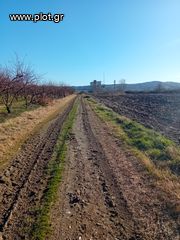 Αγροτεμάχια 25.000 τ.μ. πρός πώληση, Ημαθία, Μελίκη-thumb-10