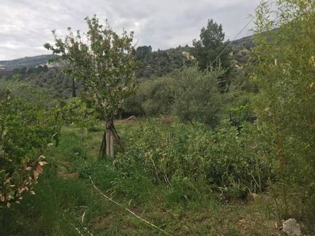Land plot 502 sqm for sale