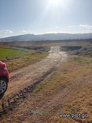 Αγροτεμάχια 17.000 τ.μ. πρός πώληση, Ημαθία, Μελίκη-thumb-4