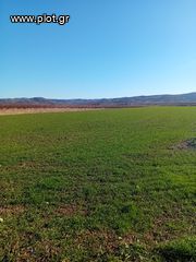 Αγροτεμάχια 17.000 τ.μ. πρός πώληση, Ημαθία, Μελίκη-thumb-7