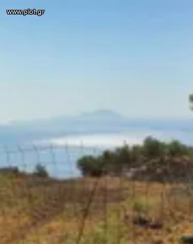 Land plot 12.700sqm for sale-Donousa » Main Town - Chora