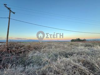 Αγροτεμάχια 13.385 τ.μ. για πώληση, Ημαθία, Δοβρά-thumb-10