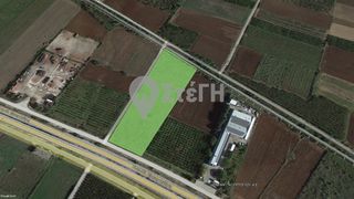Αγροτεμάχια 13.385 τ.μ. για πώληση, Ημαθία, Δοβρά-thumb-1