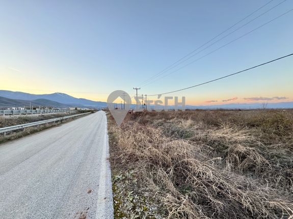 Parcel 13.385 sqm for sale, Imathia, Dovra
